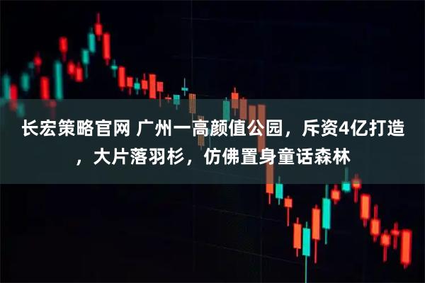 长宏策略官网 广州一高颜值公园，斥资4亿打造，大片落羽杉，仿佛置身童话森林