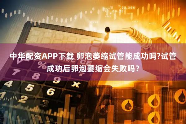 中华配资APP下载 卵泡萎缩试管能成功吗?试管成功后卵泡萎缩会失败吗？
