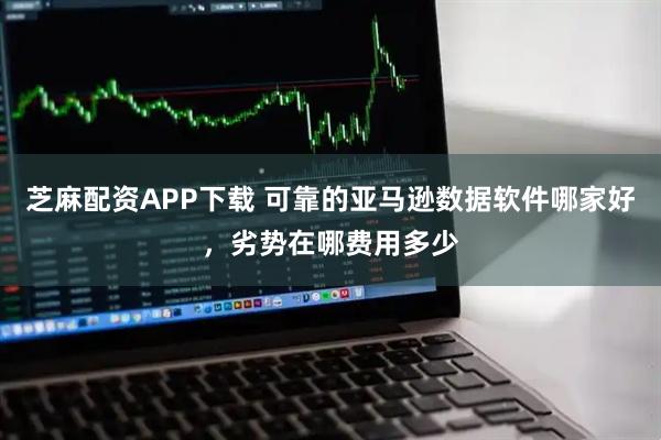 芝麻配资APP下载 可靠的亚马逊数据软件哪家好，劣势在哪费用多少